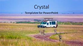  Presentation with animals habitat - Colorful slide set enhanced with wild animals in natural habitat backdrop and a light blue colored foreground