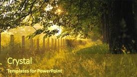  Presentation with light rays - PPT theme enhanced with beautiful fresh morning with sun background and a tawny brown colored foreground