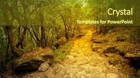  Presentation with pathway - Amazing slide deck having pathway in the autumn forest running through tree alley backdrop and a tawny brown colored foreground