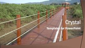  Presentation with mangrove - Beautiful PPT theme featuring nature trail in mangrove forest backdrop and a coral colored foreground