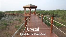  Presentation with mangrove - Slide set with nature trail in mangrove forest background and a violet colored foreground