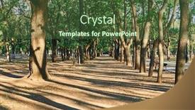  Presentation with trail - Amazing presentation theme having nature-trail-in-the-city backdrop and a tawny brown colored foreground