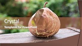  Presentation with colored - Theme consisting of nature vegetable colored rotten apple background and a  colored foreground