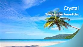  Presentation with palm tree - PPT theme with nature view with palm tree background and a cobalt blue colored foreground
