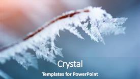  Presentation with constitutional design - Theme with portrait of pretty young woman with cup of coffee close up background and a tawny brown colored foreground