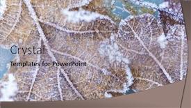  Presentation with leaves falling - Slide deck with nature-winter-background-snow-snowflakes background and a light gray colored foreground