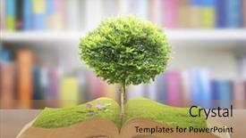  Presentation with tree of life growing - Amazing presentation having nature with grass and tree backdrop and a coral colored foreground