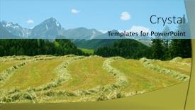  Presentation with nature - Colorful PPT layouts enhanced with nature backdrop and a light blue colored foreground