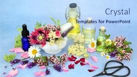  Presentation with herbs blue - Colorful slide deck enhanced with naturopathic-herbal-medicine-with-summer backdrop and a sky blue colored foreground