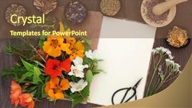  Presentation with notebook paper - Theme enhanced with naturopathy - flower and herb selection used background and a tawny brown colored foreground