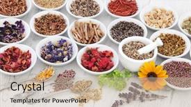  Presentation with herb - PPT layouts enhanced with naturopathy - herb and flower selection used background and a soft green colored foreground