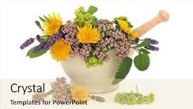  Presentation with lavender flowers - PPT layouts having naturopathy - lavender herb valerian ladies mantle background and a lemonade colored foreground