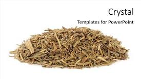  Presentation with alternative medicine - Slide deck having naturopathy - yerba mate santa herb used background and a white colored foreground