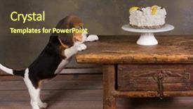  Presentation with unicorn cake pink frosting - Colorful presentation theme enhanced with funny foods - seven weeks old cute little backdrop and a tawny brown colored foreground