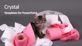  Presentation with kitten - PPT theme having naughty baby - cute kitten playing with roll background and a gray colored foreground
