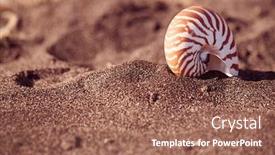  Presentation with sea shell - Slide deck consisting of nautilus-pompilius-sea-shell-seashell background and a coral colored foreground
