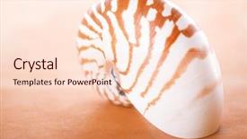  Presentation with super fighter jets - PPT theme enhanced with nautilus pompilius shell on leather background and a  colored foreground