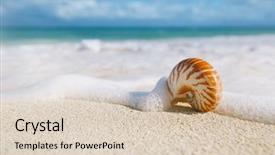  Presentation with stormy sea waves - Colorful slide set enhanced with nautilus sea shell against stormy backdrop and a lemonade colored foreground