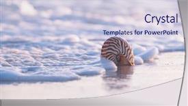  Presentation with stormy sea waves - Slide deck featuring nautilus sea shell against stormy background and a lemonade colored foreground