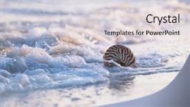  Presentation with stormy sea waves - Amazing slide deck having nautilus sea shell against stormy backdrop and a light gray colored foreground