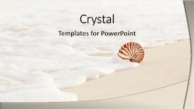  Presentation with golden light - PPT theme with nautilus sea shell on golden background and a sky blue colored foreground