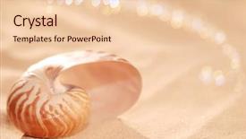  Presentation with light waves - Slide set consisting of nautilus sea shell on golden background and a lemonade colored foreground