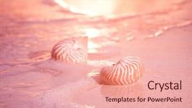  Presentation with sea shell - Beautiful slide deck featuring nautilus sea shell on golden backdrop and a coral colored foreground