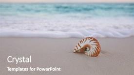  Presentation with sea shell - Presentation theme having nautilus sea shell on golden background and a gray colored foreground