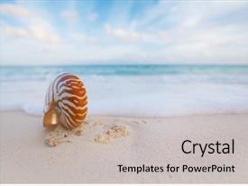 Nautilus Sea Shell On Golden PPT template 19 | CrystalGraphics