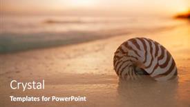  Presentation with light waves - Slide deck having nautilus-sea-shell-on-golden background and a coral colored foreground