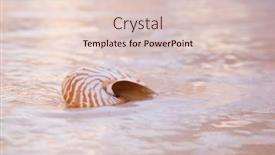  Presentation with light waves - PPT theme enhanced with nautilus-sea-shell-on-golden background and a lemonade colored foreground