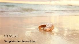 Presentation with light waves - Slides with nautilus-sea-shell-on-golden background and a lemonade colored foreground