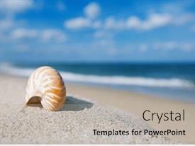 Nautilus Sea Shell On Golden PPT template 68 | CrystalGraphics