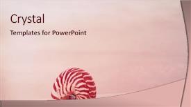  Presentation with sea shell - Theme having nautilus sea shell on golden background and a  colored foreground