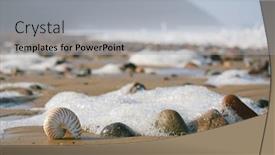  Presentation with sea shell - Beautiful PPT theme featuring nautilus-sea-shell-with-seafoam backdrop and a light gray colored foreground