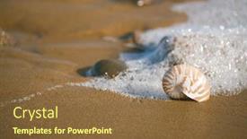  Presentation with sea shell - Beautiful slide deck featuring nautilus-sea-shell-with-seafoam backdrop and a tawny brown colored foreground