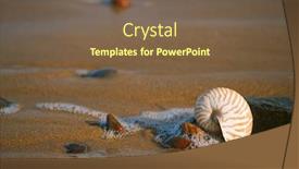  Presentation with sea shell - PPT theme with nautilus-sea-shell-with-seafoam background and a violet colored foreground