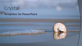  Presentation with sea shell - Colorful slide set enhanced with nautilus-sea-shell-with-seafoam backdrop and a light blue colored foreground