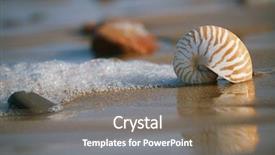  Presentation with sea shell - Slide set featuring nautilus sea shell with seafoam background and a gray colored foreground