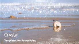  Presentation with sea shell - Presentation theme having nautilus sea shell with seafoam background and a gray colored foreground