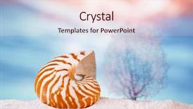 Presentation with sea shell - Presentation theme enhanced with nautilus seashell sea shell background and a lemonade colored foreground