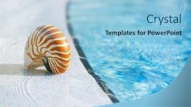  Presentation with swimming pool - Cool new PPT theme with nautilus-shell-at-resort-swimming backdrop and a light blue colored foreground