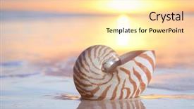  Presentation with sea shell - Theme consisting of nautilus shell in the sea background and a blonde colored foreground