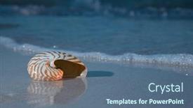  Presentation with sea shell - Colorful PPT layouts enhanced with nautilus-shell-in-the-sea backdrop and a ocean colored foreground