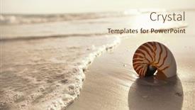  Presentation with sea shell - Colorful slide set enhanced with nautilus-shell-on-a-sea backdrop and a cream colored foreground