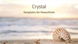  Presentation with shell - Presentation theme having nautilus shell on beach background and a cream colored foreground