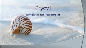  Presentation with gold glitter wedding anniversary - PPT layouts featuring nautilus shell on golden beach background and a sky blue colored foreground