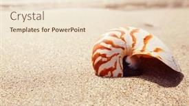  Presentation with golden light - Audience pleasing slide deck consisting of nautilus-shell-on-golden-sand backdrop and a lemonade colored foreground