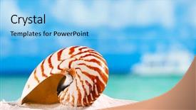  Presentation with white sand - PPT layouts having nautilus shell on white beach background and a light blue colored foreground