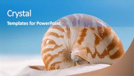  Presentation with white sand - Slide deck consisting of nautilus shell on white beach background and a teal colored foreground